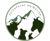 Manon Ostéopathe Animalier